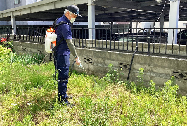 草刈、除草剤散布